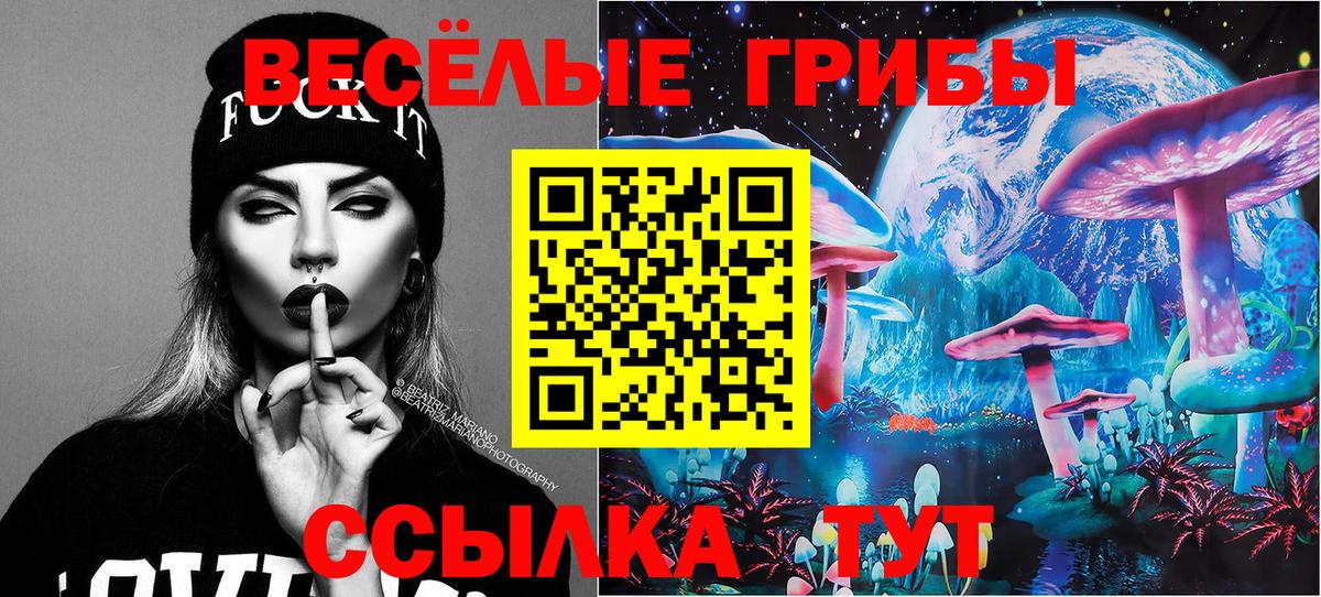 купить закладку  Вход с VPN  Орёл  Галлюциногенные грибы Cubensis 