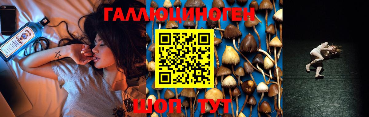 Галлюциногенные грибы мицелий Орёл