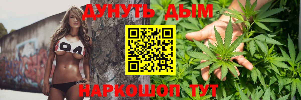 Конопля конопля Орёл